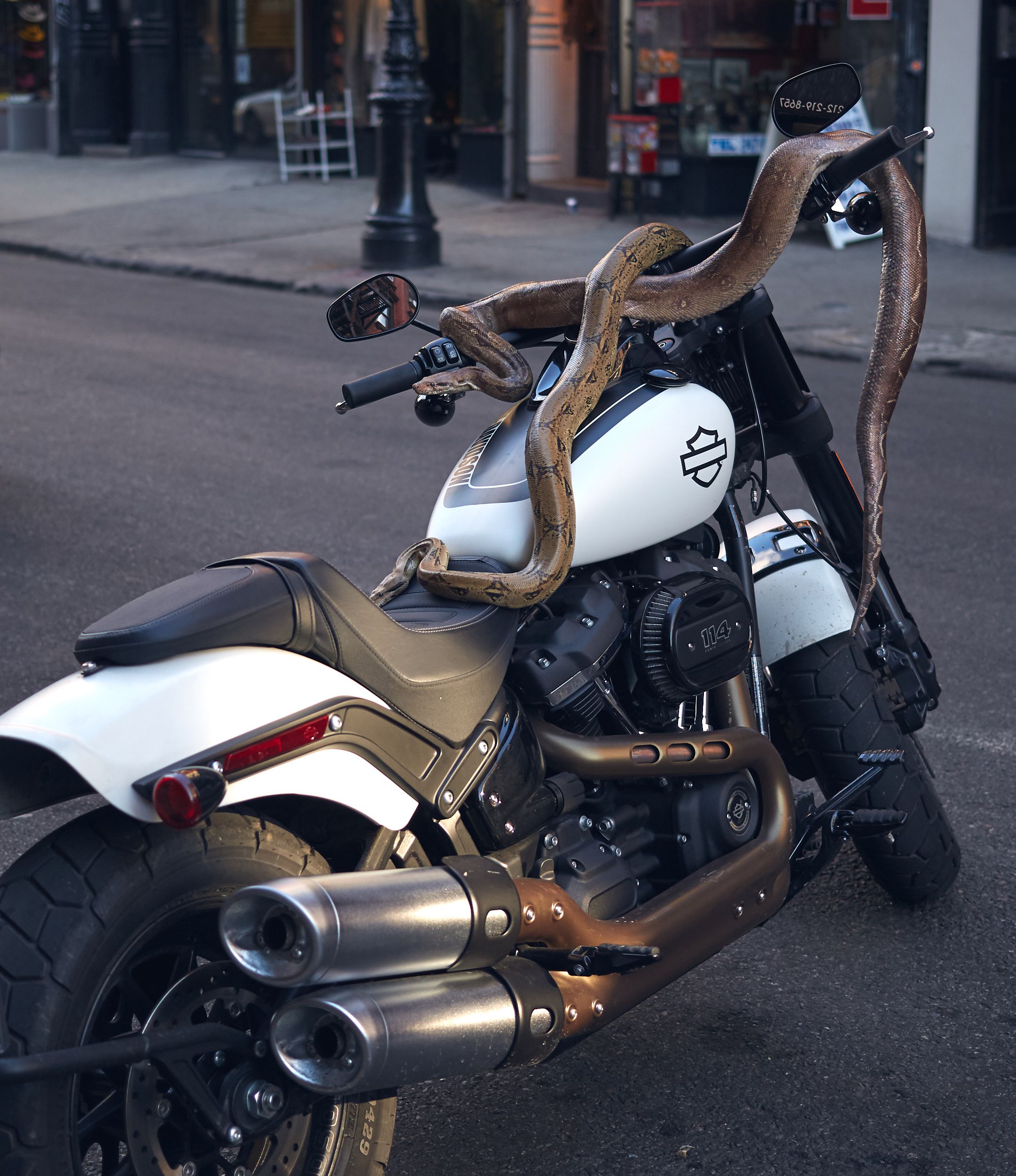 2019 Harley Davidson Fat Bob 114 Modern Muscle Blogpost Eatsleepride