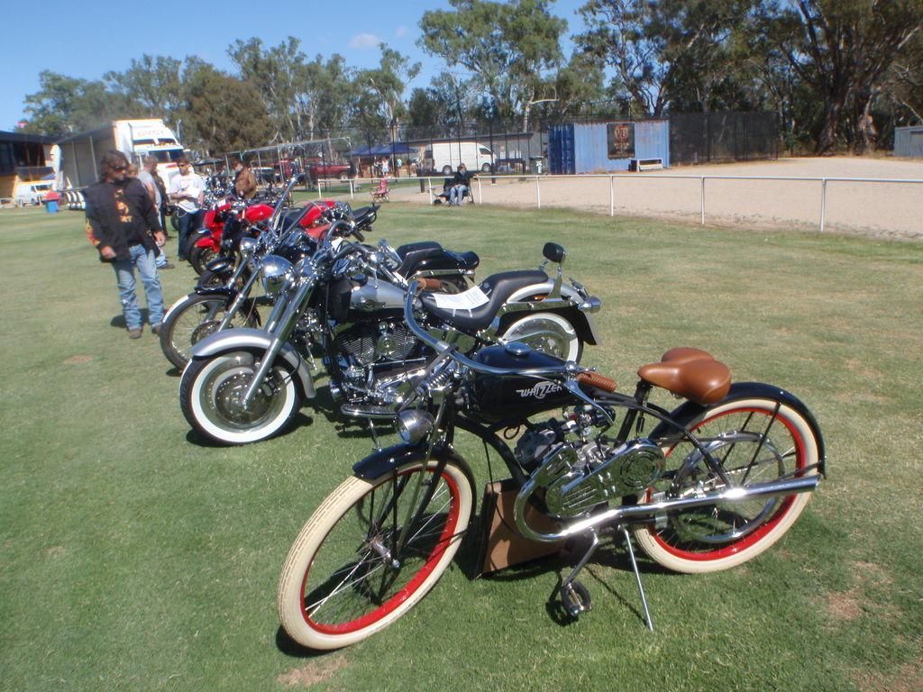 1948 Whizzer Vintage Replica at a local bike show