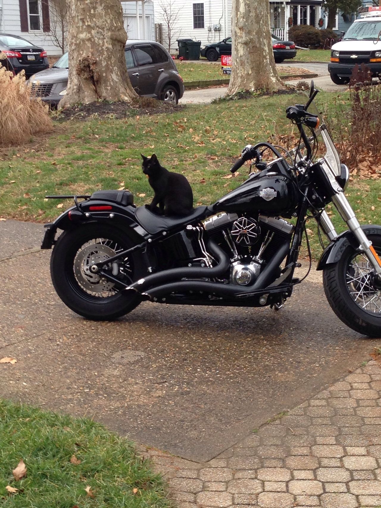  Harley  Davidson Softail Slim 2014