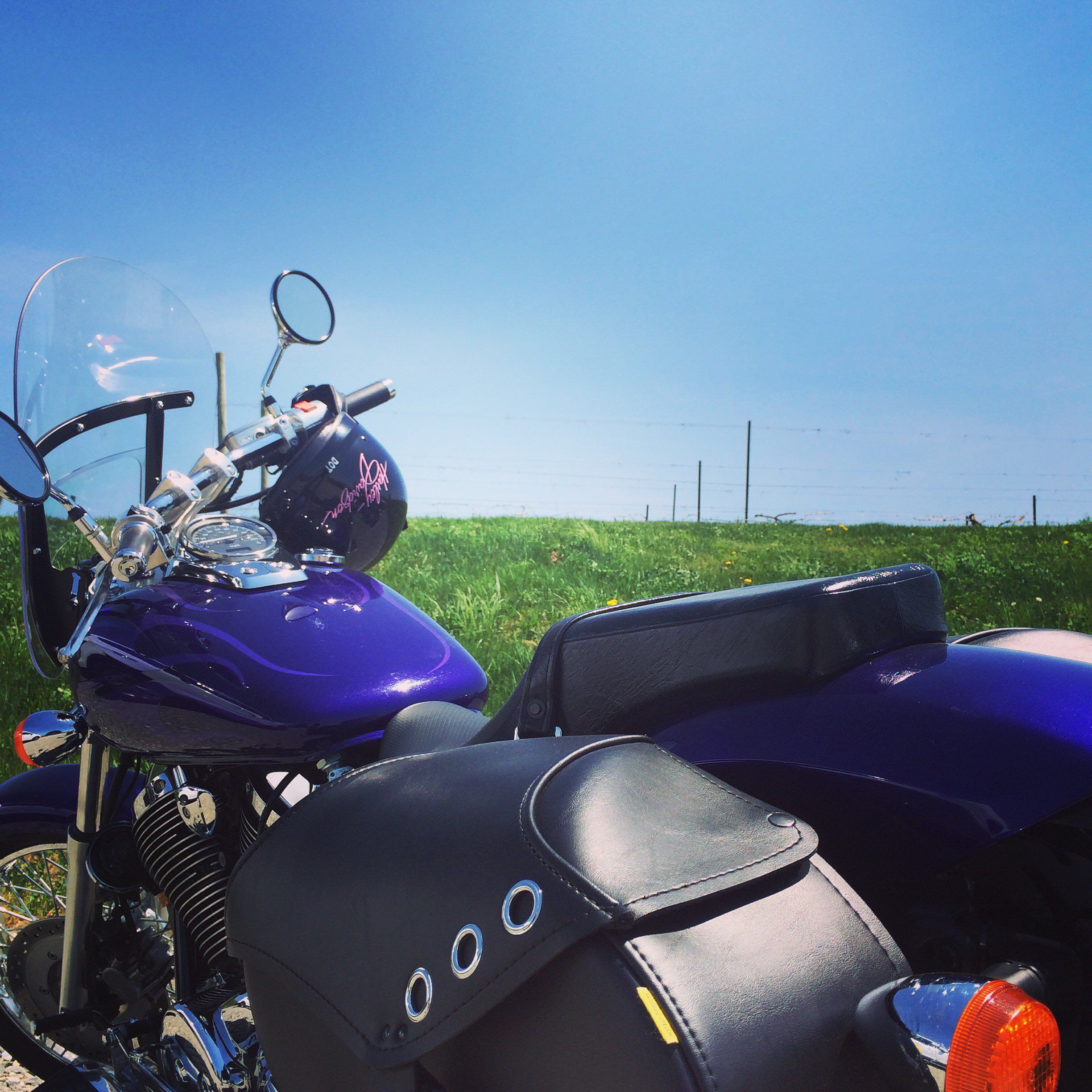 Purple Honda
