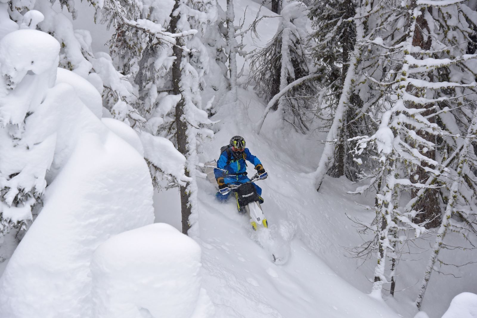 Riding the deep powder in the trees on a snowbike