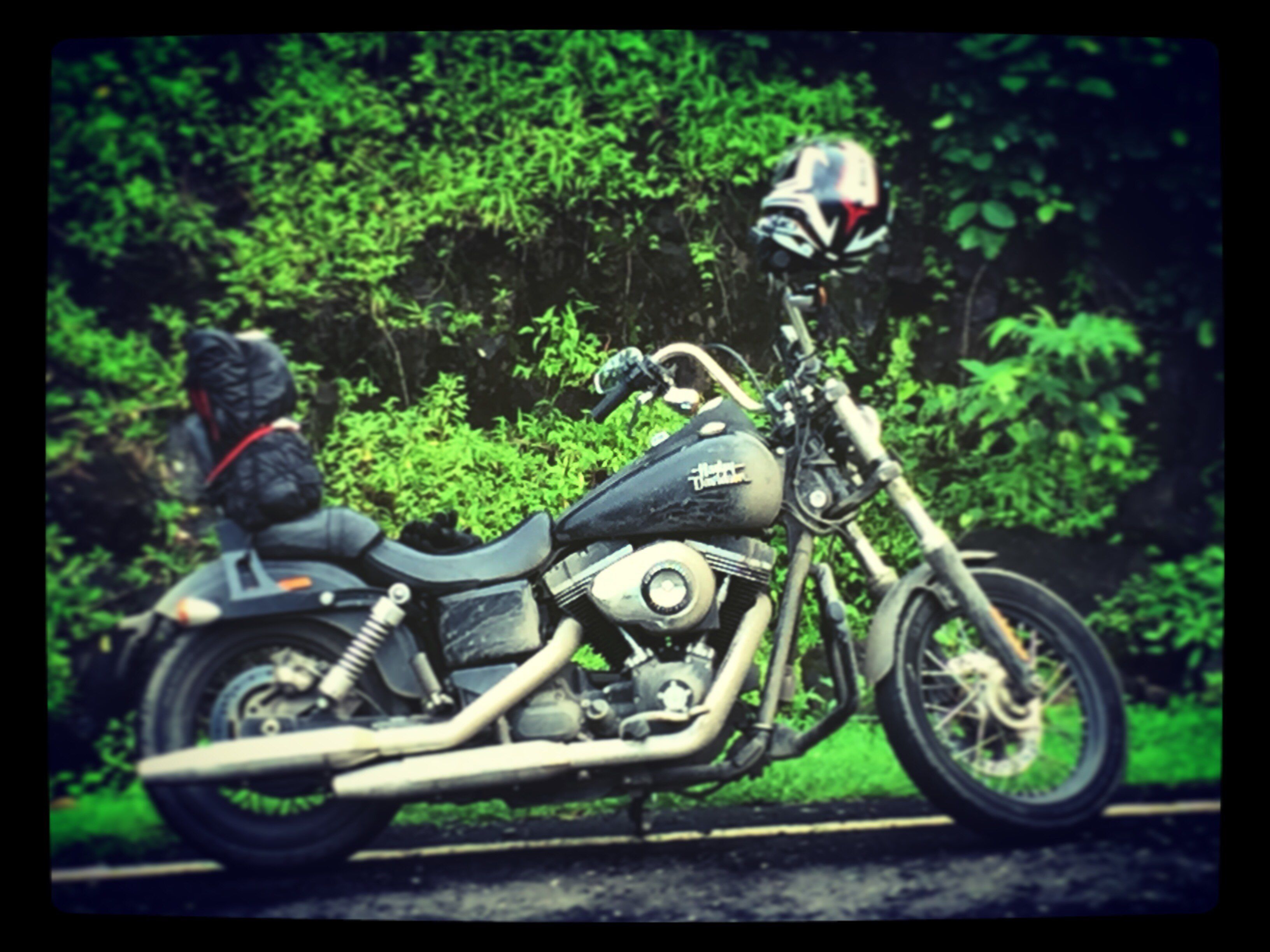 Harley  Davidson Dyna Street Bob FXDB 2014