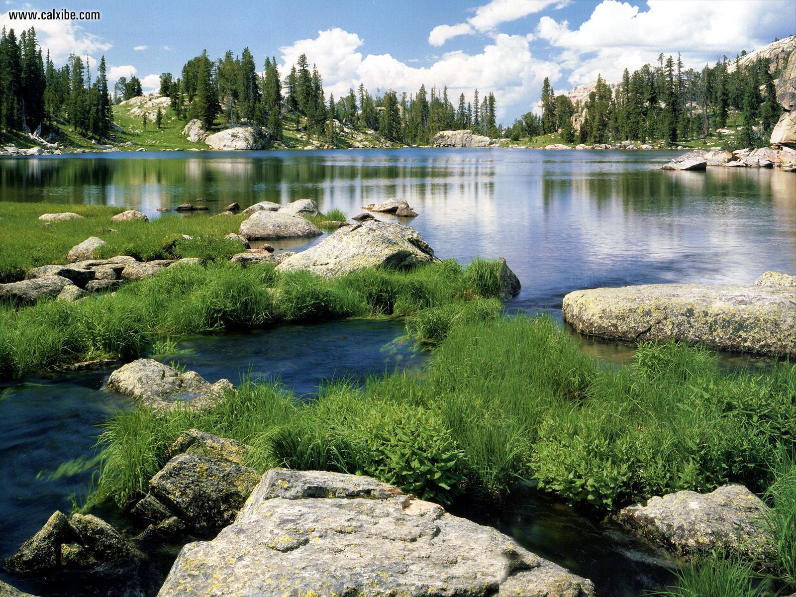 Shoshone National Forest, Wyoming