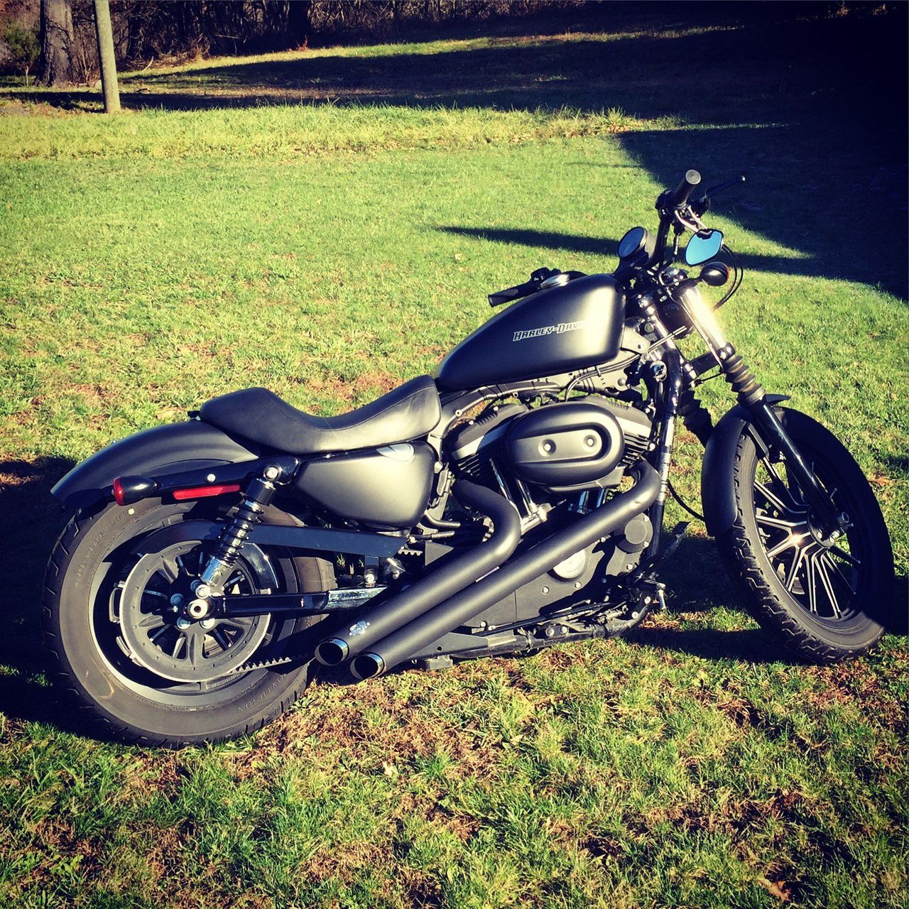  Harley  Davidson Sportster Iron XL883N 2010