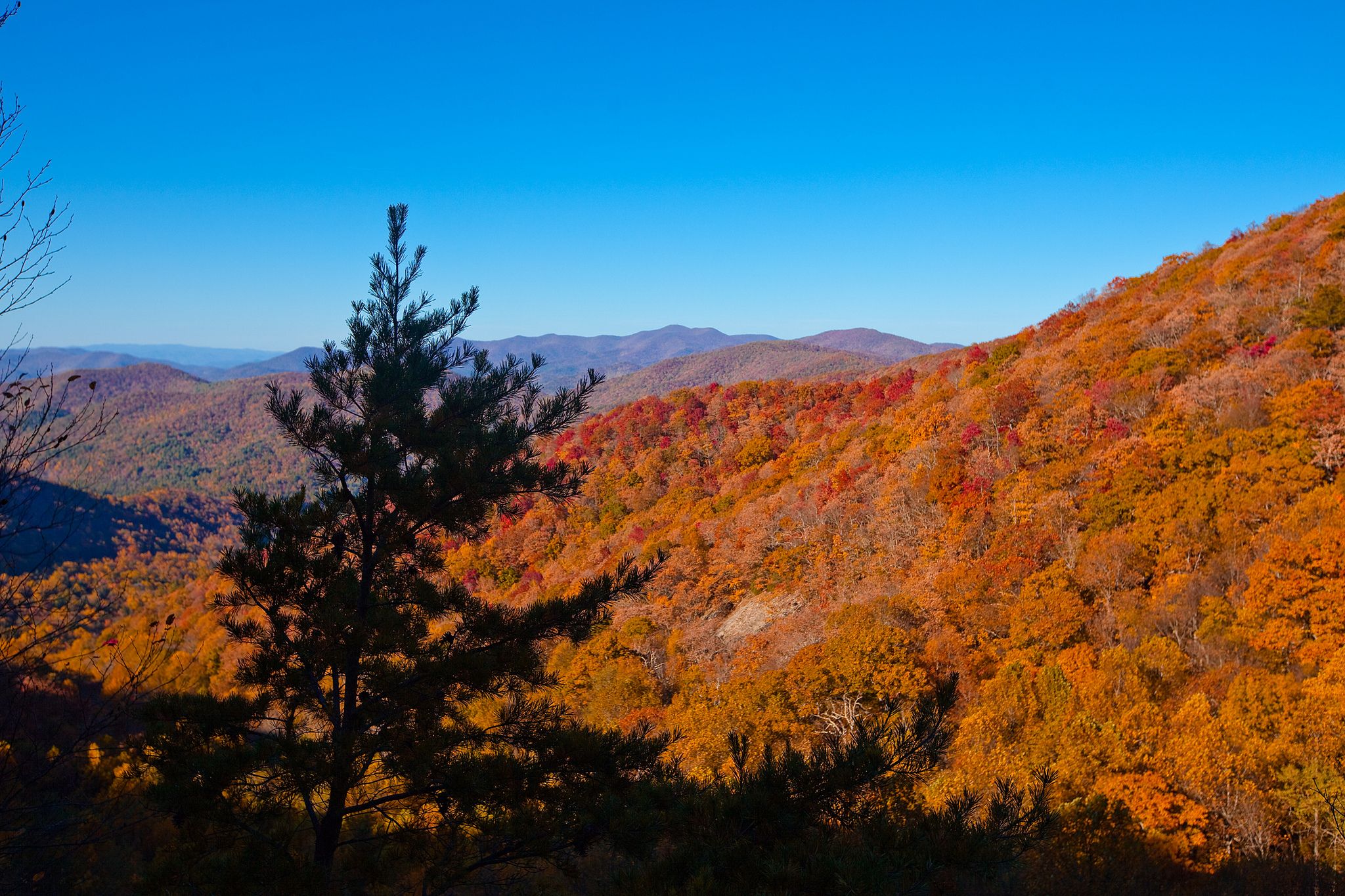 Foliage View from Russel-Brasstown Scenic Byway – Scenic Motorcycle Roads