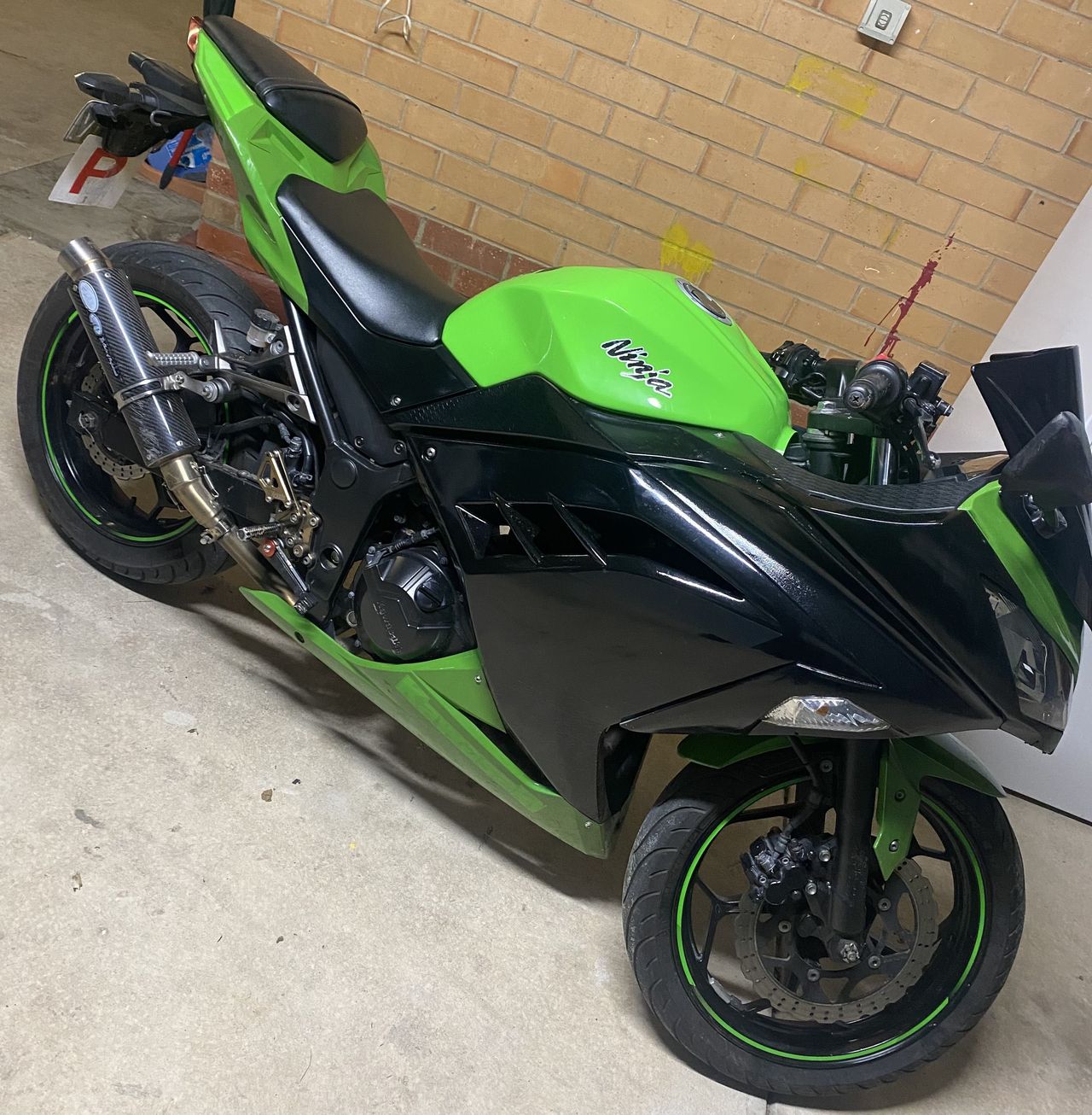 ninja01's Image