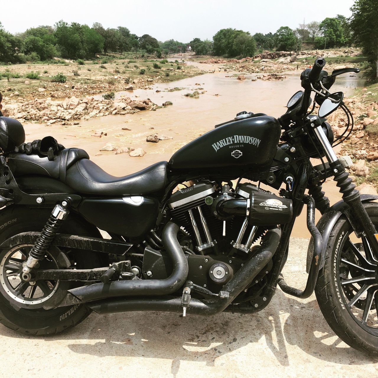  Harley - Davidson Sportster Iron XL883N 2015