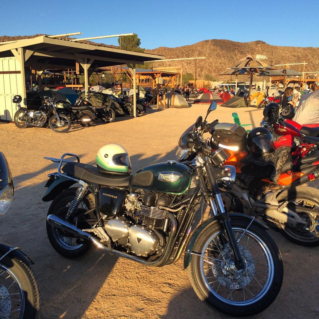 Joshua Tree motorcycles at sun set