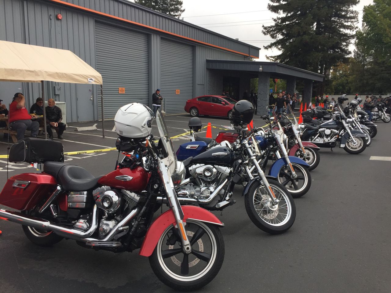 Scarlet is eager to start the Poker run from Cotati