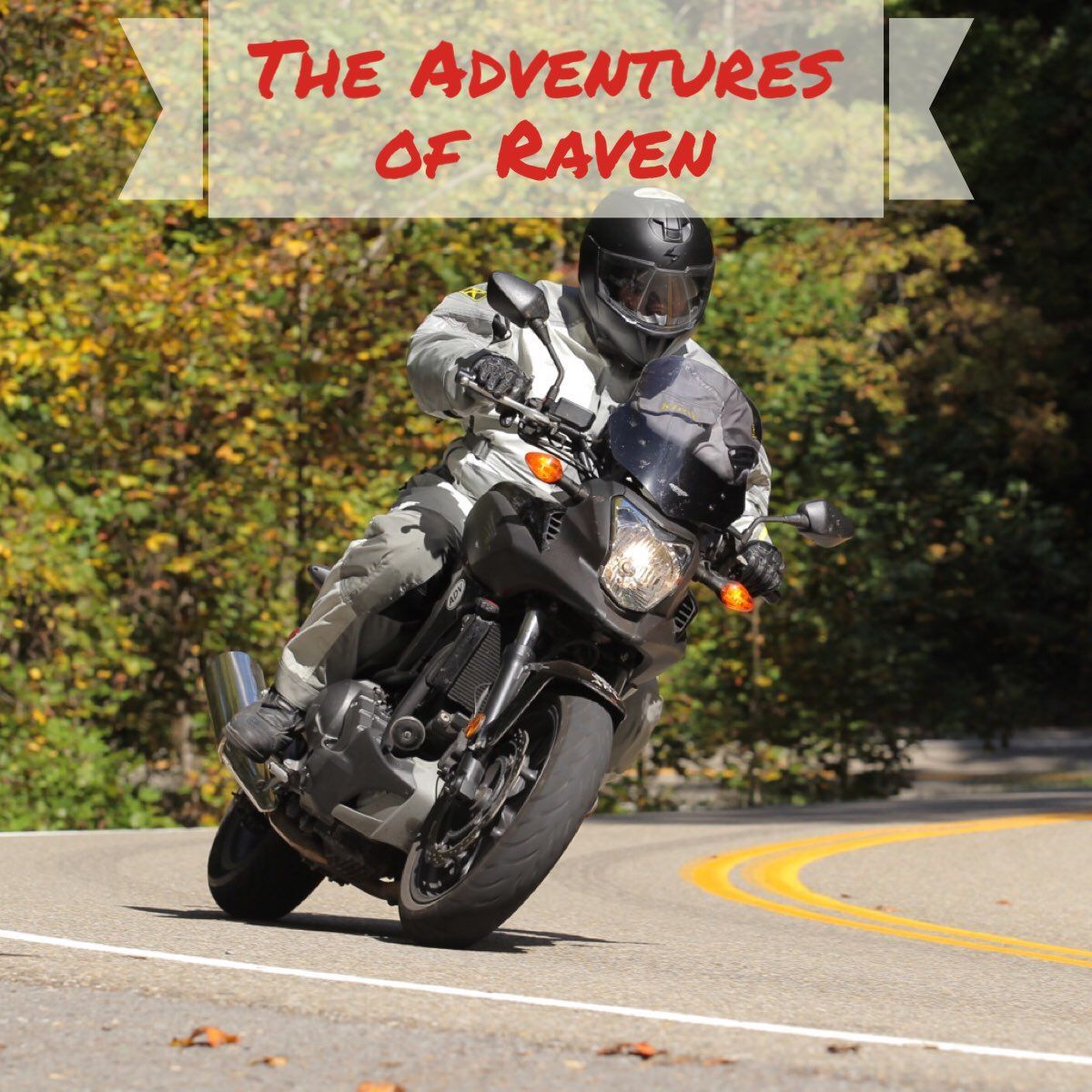 Adventures of Raven