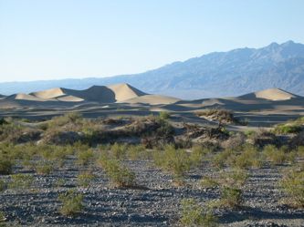 Death Valley sand dunes 2