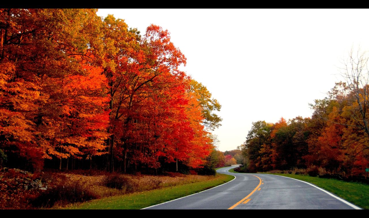Fall colours – Seven Lakes Drive, New York