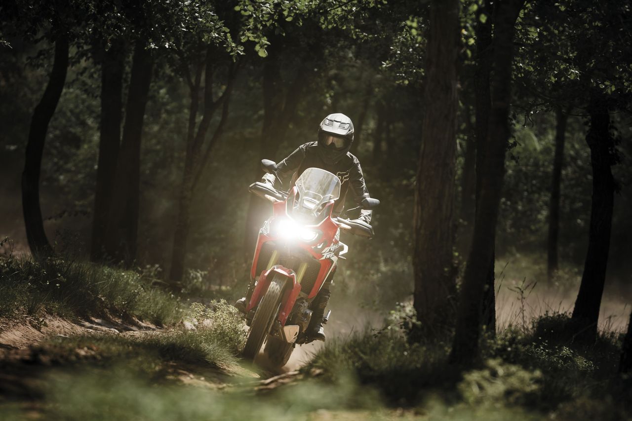 Honda CRF1000L Africa Twin 2016 in the trees