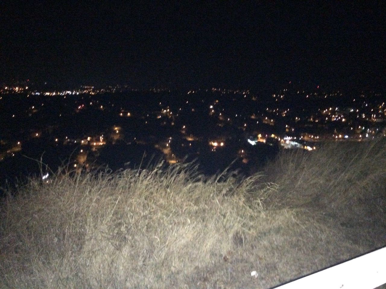 View from Mt. Tolmie (around 4am)