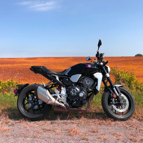 Naked Gun | 2019 Honda CB1000R First Ride