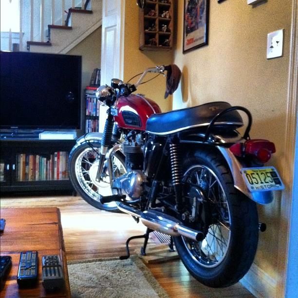 Triumph in the living room
