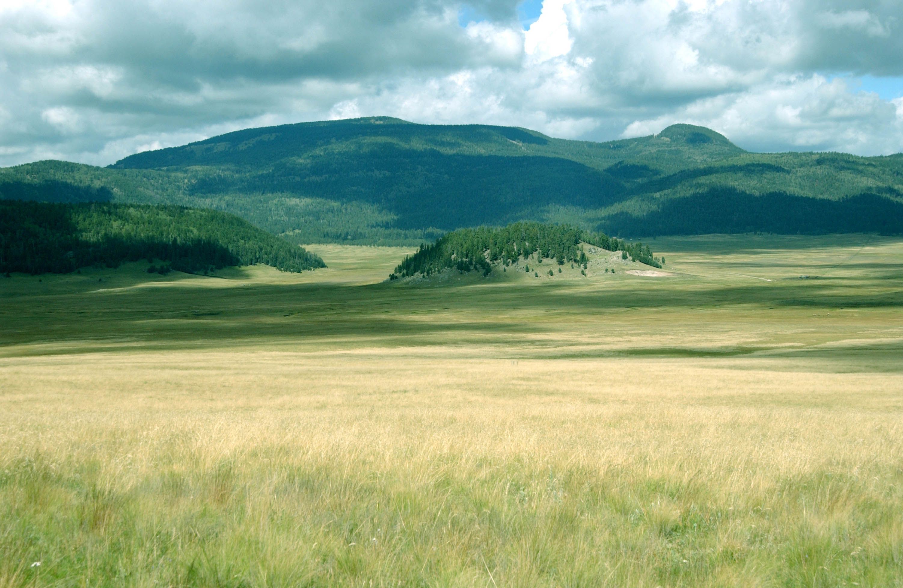 Valles Caldera is a huge volcanic depression on top of a mountain north of Albuquerque