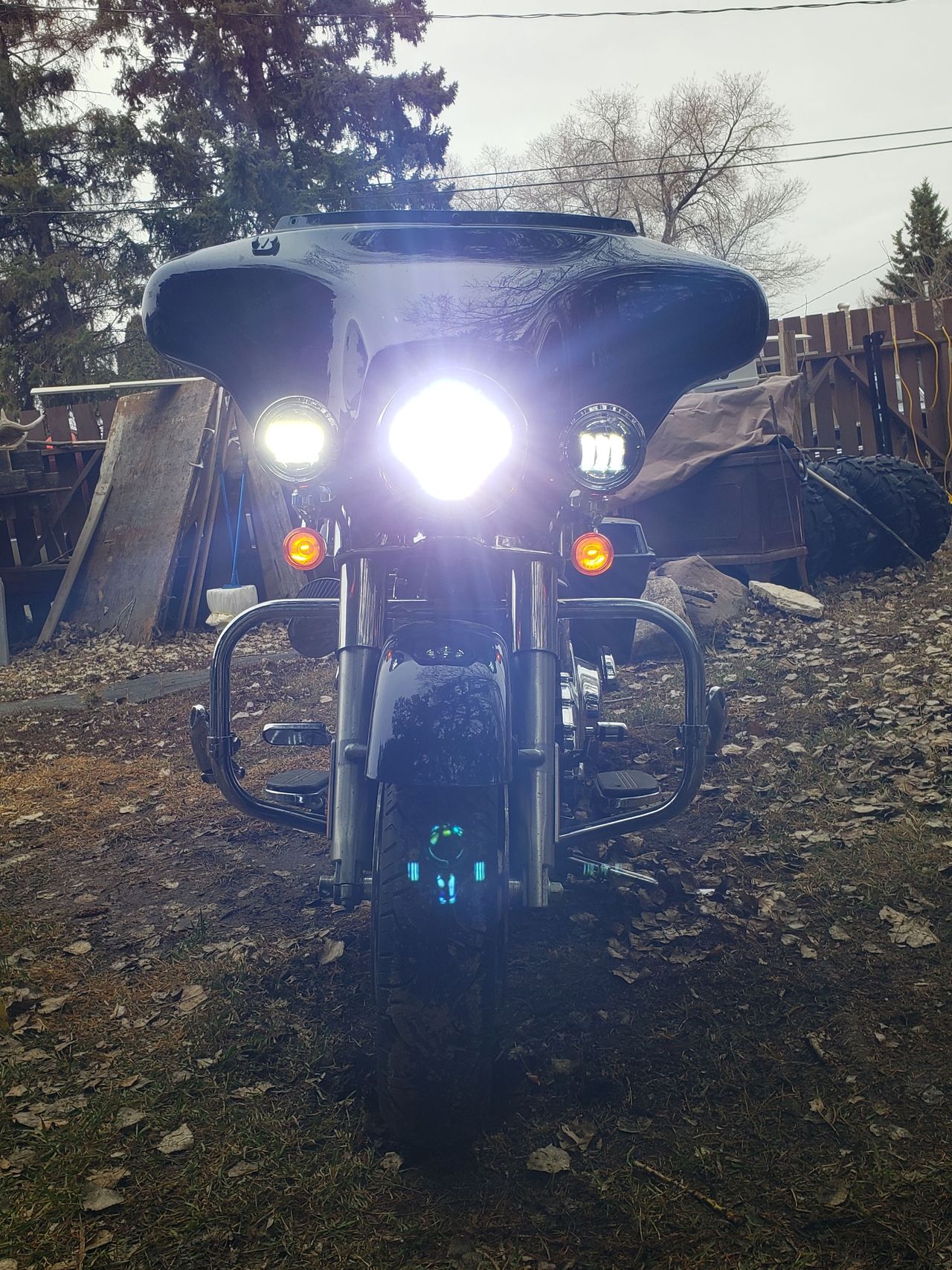 new LEDs, no more wildlife in front