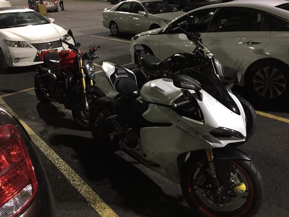 monster panigale & xdiavel 