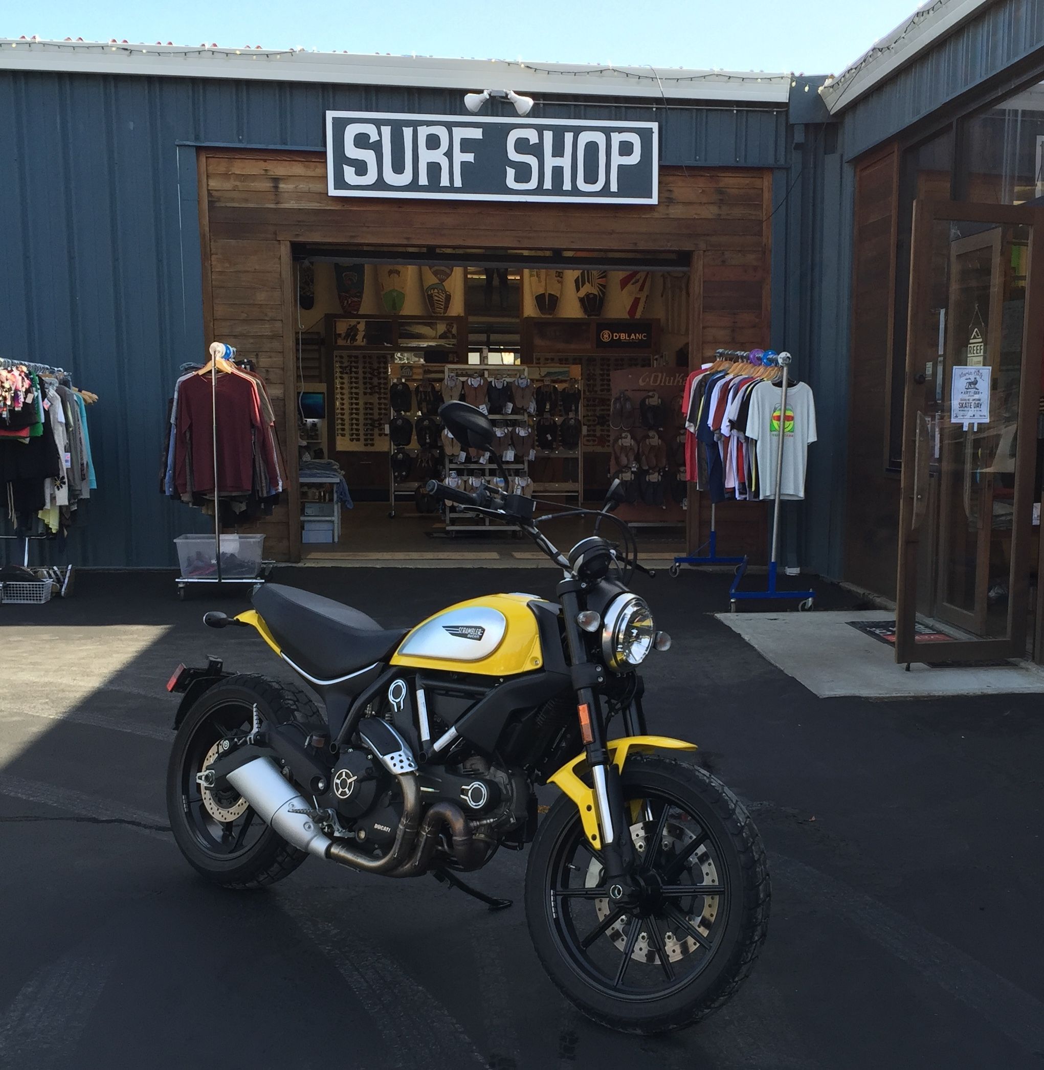 Scrambler looking pretty at the Equator Coffees Proof Lab Surf Shop