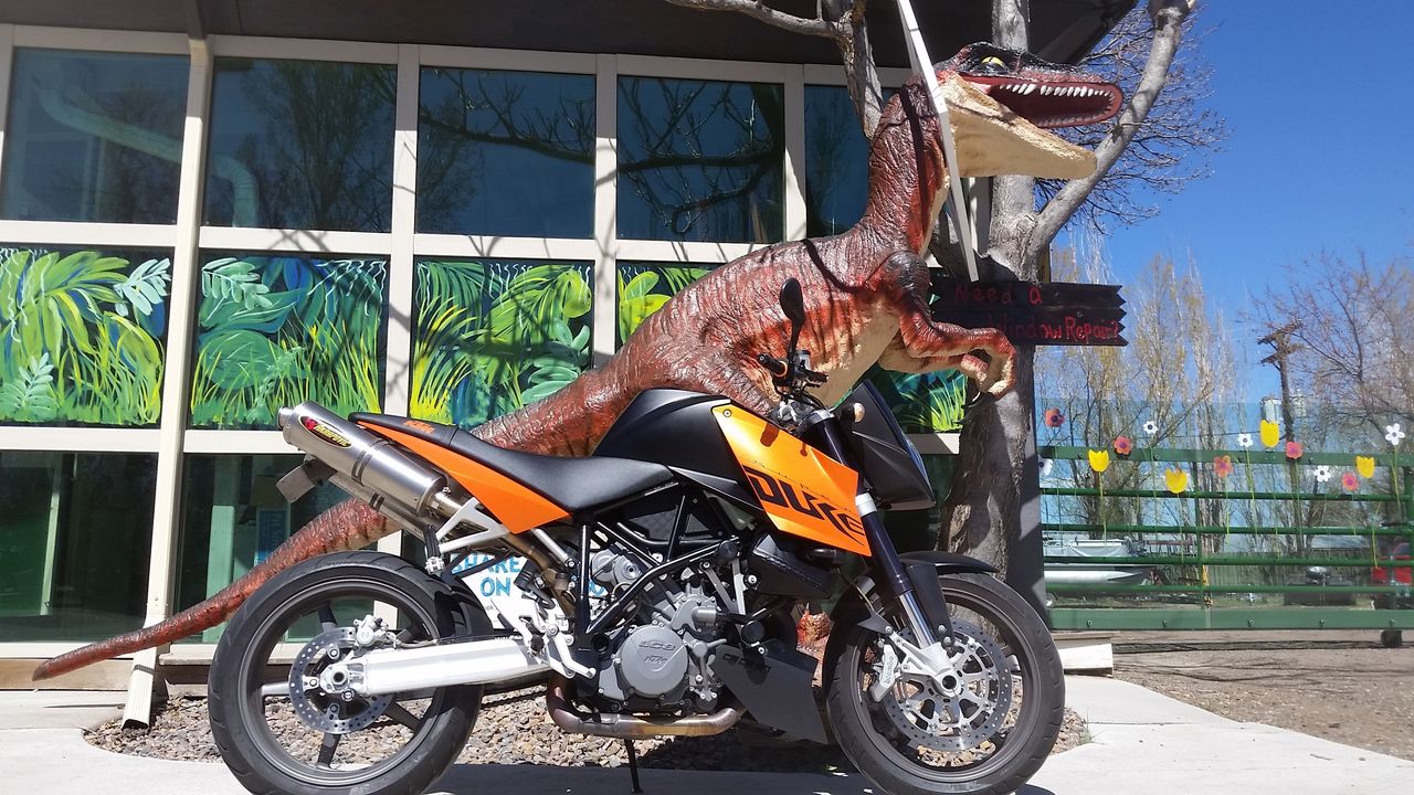 Dinobike