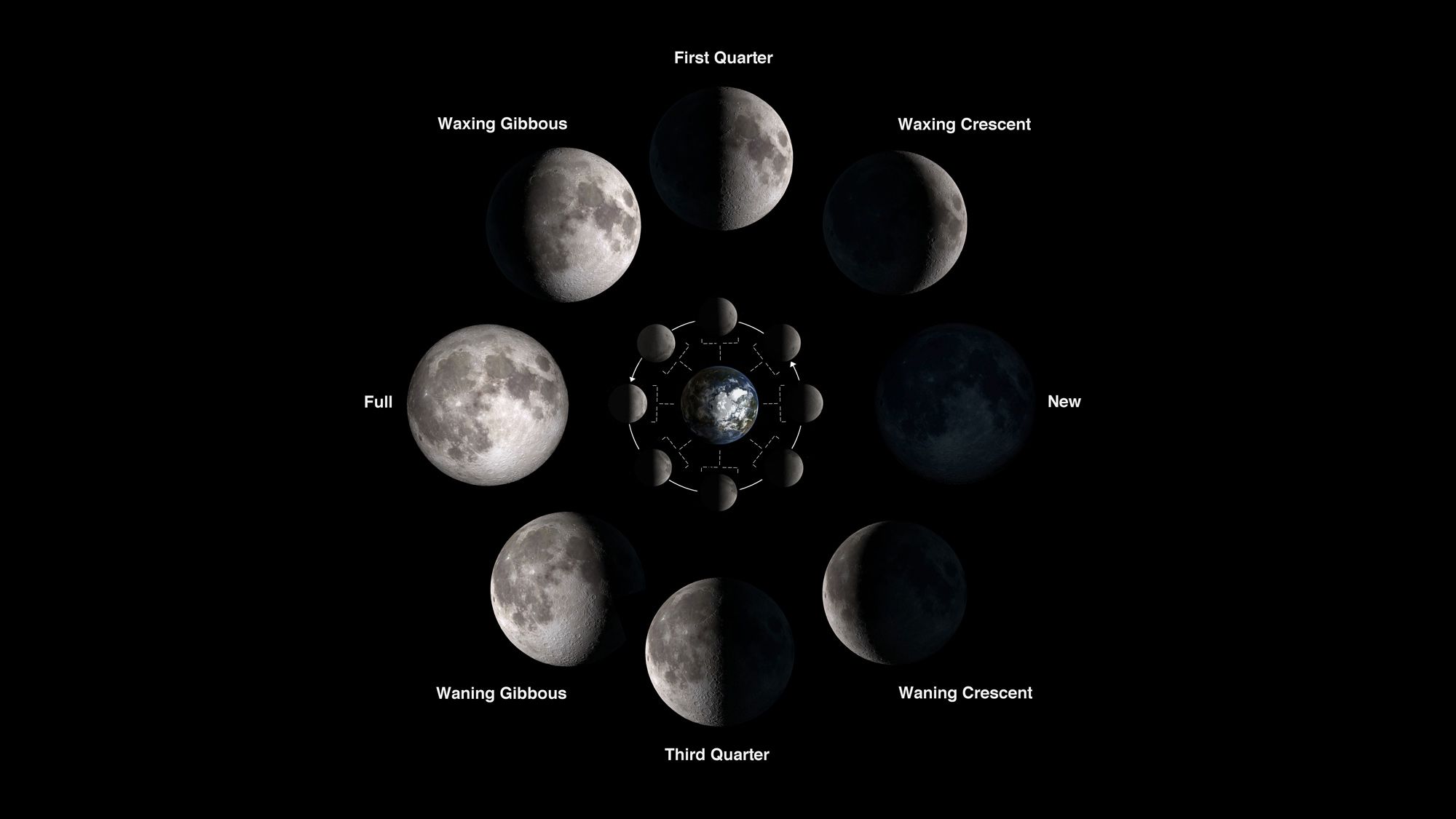 The NASA graphic shows the phases of the moon
