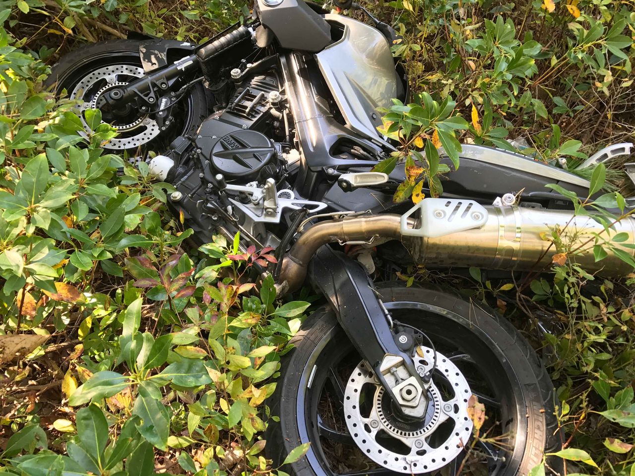 The deceased BMW F800R was so far into the forest we could not see it from the road