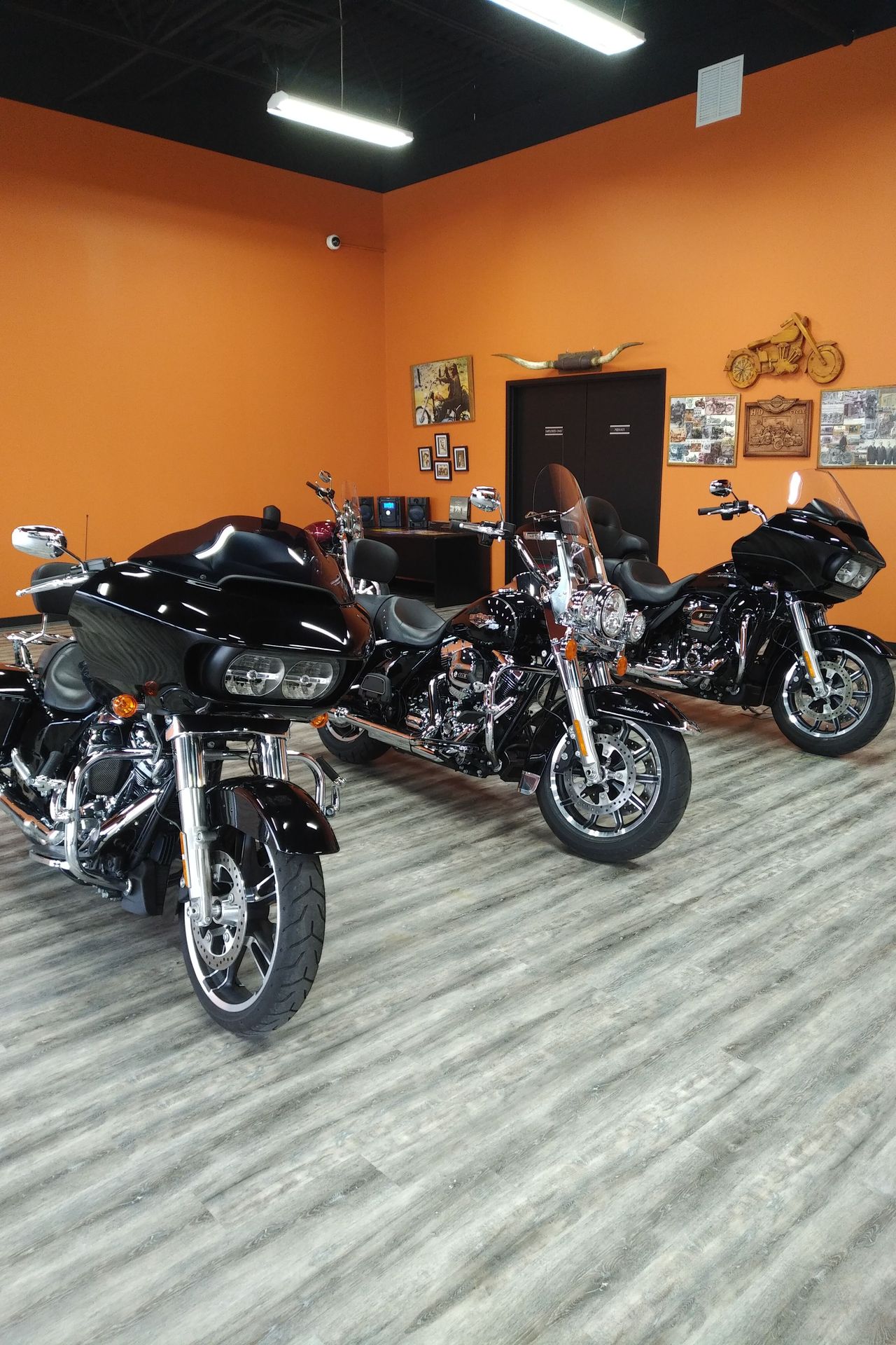 Late model Harley Davidson motorcycles