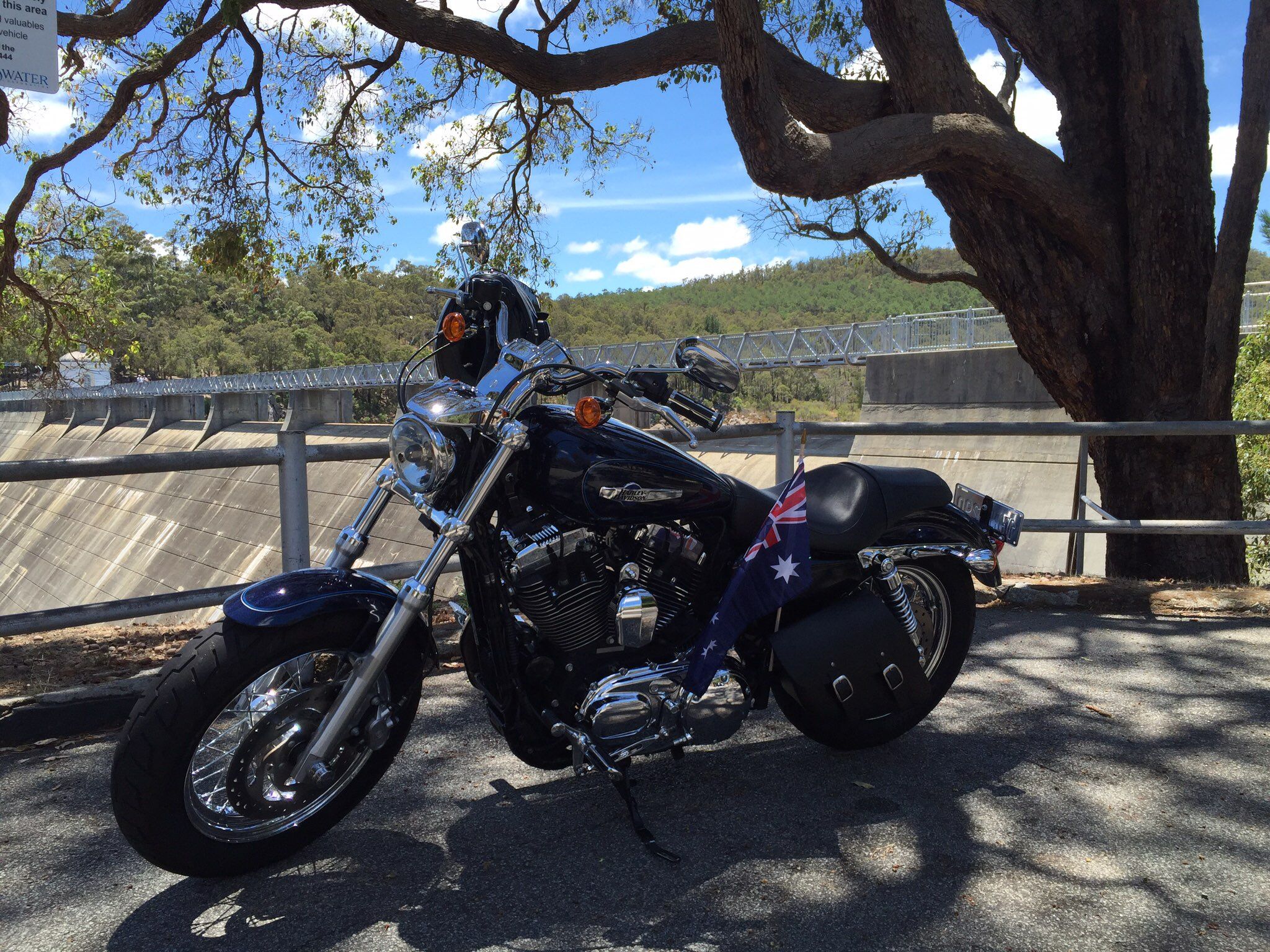  Harley  Davidson 1200 Custom Sportster 2014