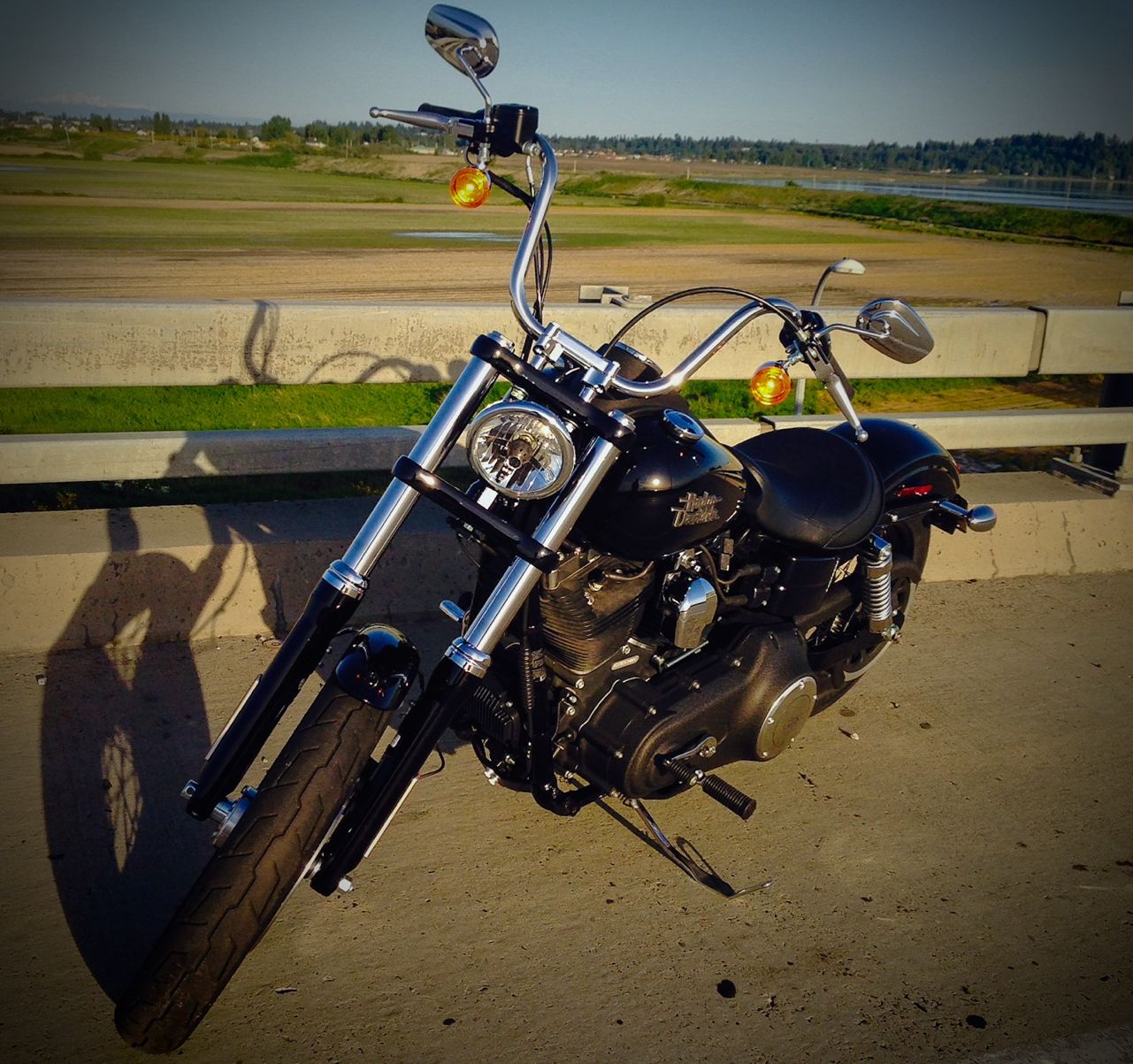 2014 Harley-Davidson Street Bob