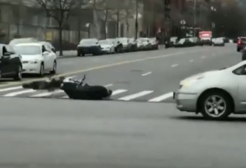 The way the cop's head bounces off the pavement is painful to watch