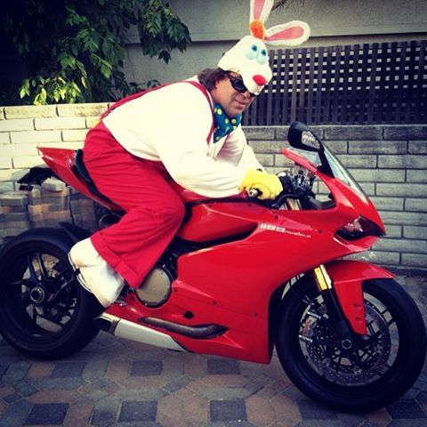 Inspiration for your costume for the Miami ride; this rabbit only lays golden eggs