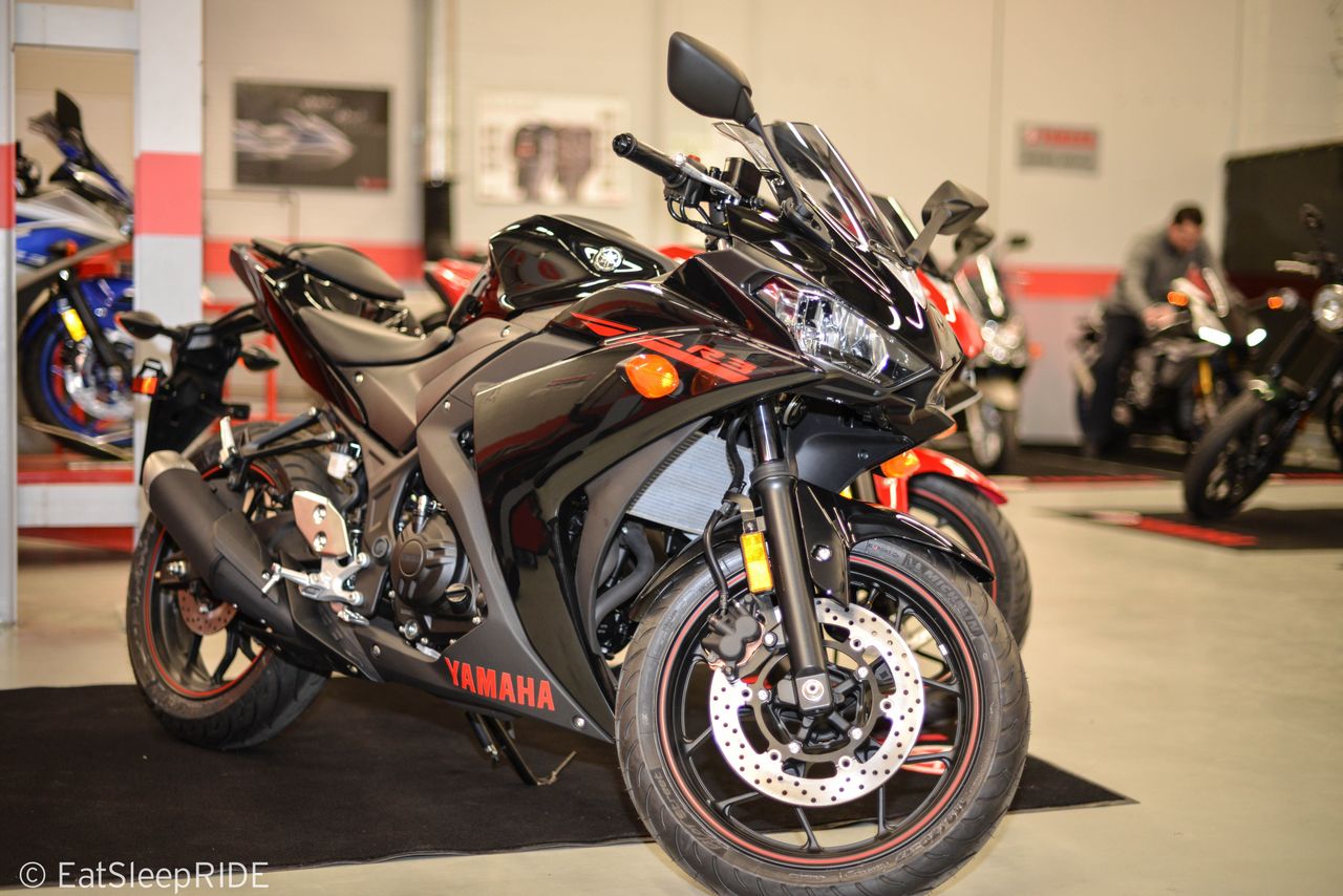 The 2015 R3 - Standing proud in the middle of the Yamaha garage