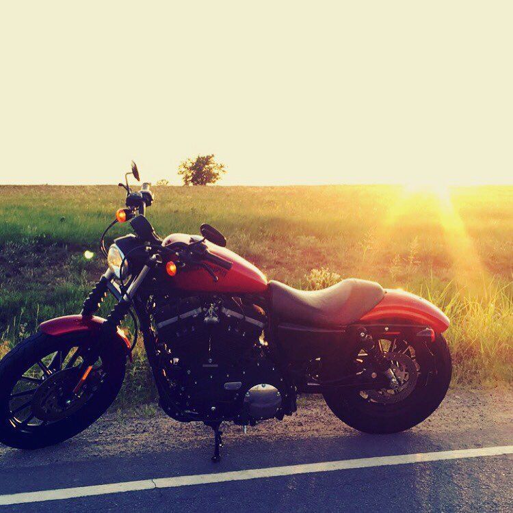  Harley -Davidson Sportster Iron XL883N 2012