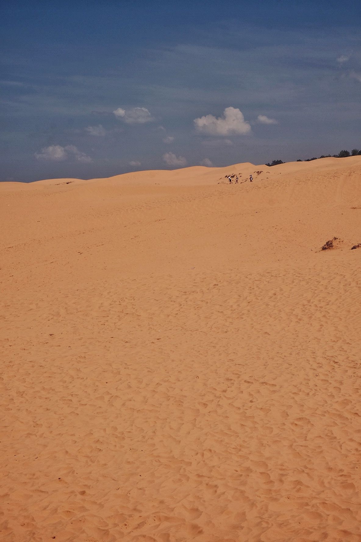 Red Sand Dunes of Mui Ne